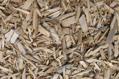 biomass boilers Trevanger