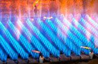 Trevanger gas fired boilers